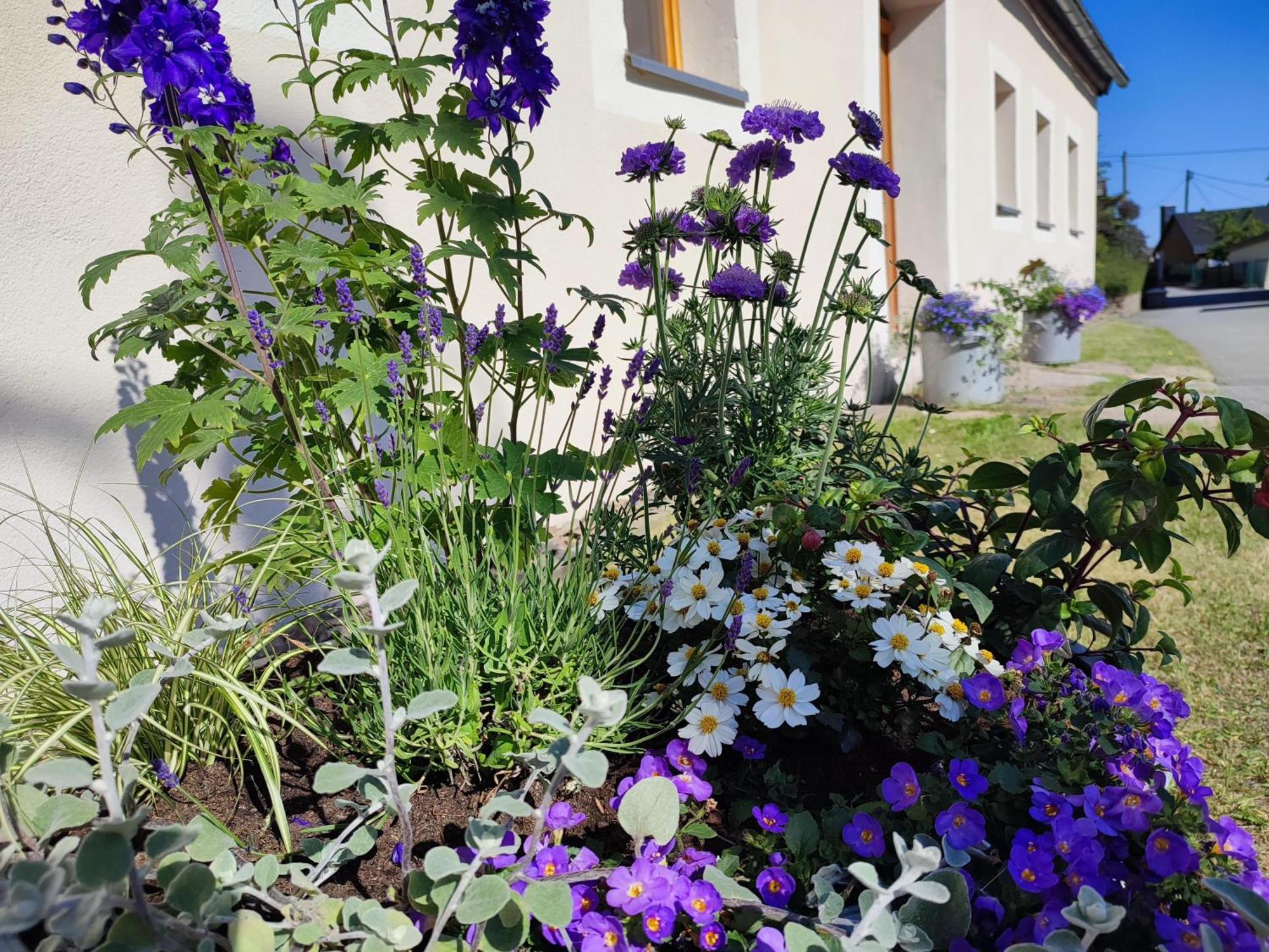 Ferienhaus "De Sieme" Olbernhau Kültér fotó
